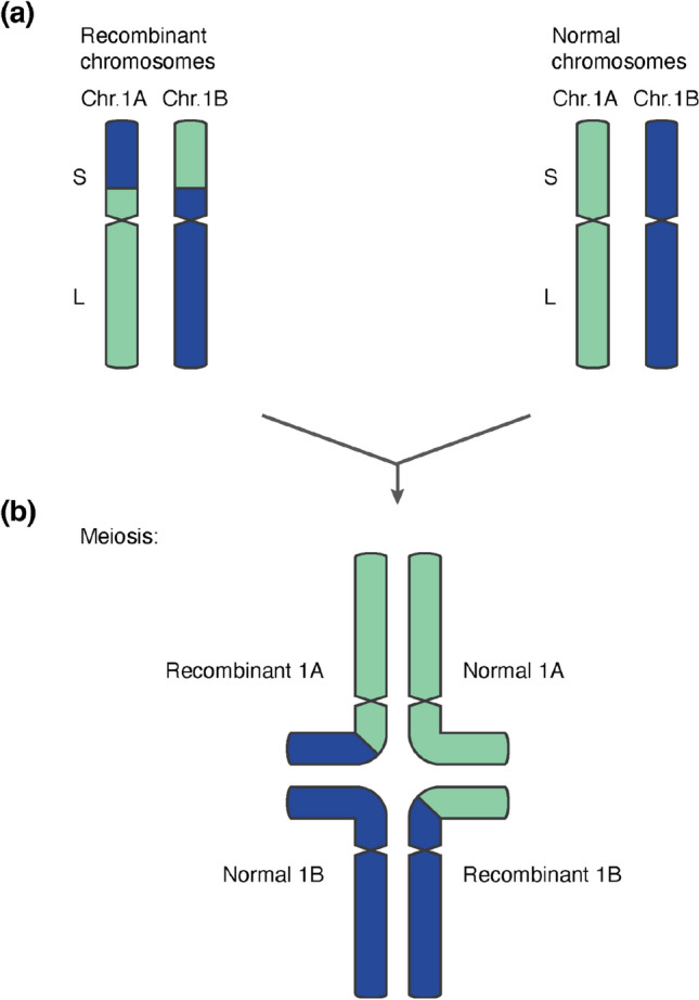 Fig. 7