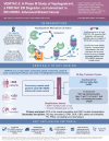 Infographic: