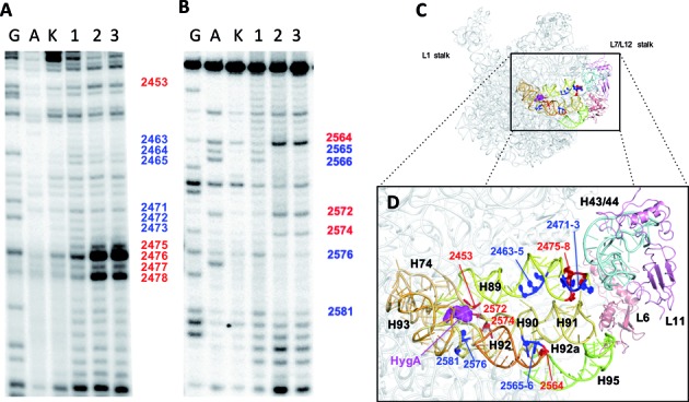 Figure 4.