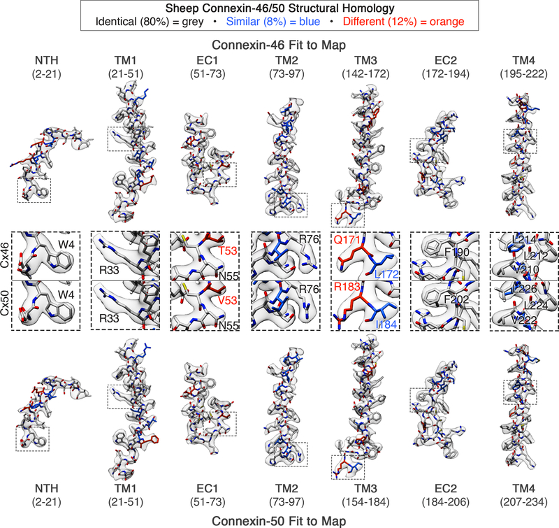 Figure 4: