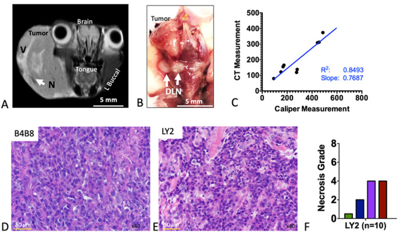 Figure 2: