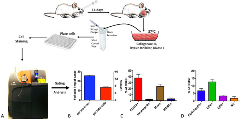 Figure 3: