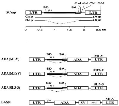 FIG. 1