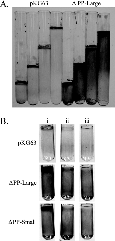 FIG. 7.