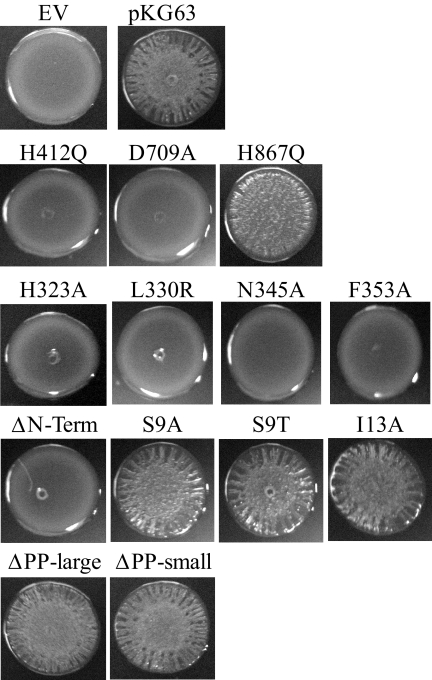 FIG. 4.