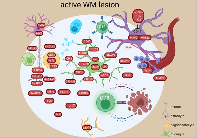 Figure 4