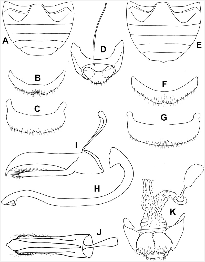 Fig. 24.