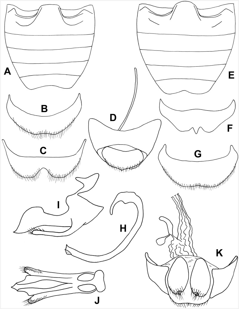 Fig. 27.