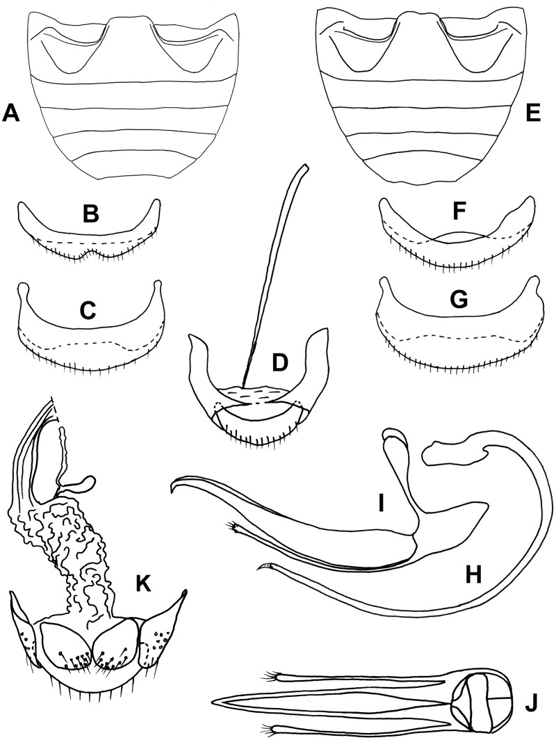 Fig. 75.