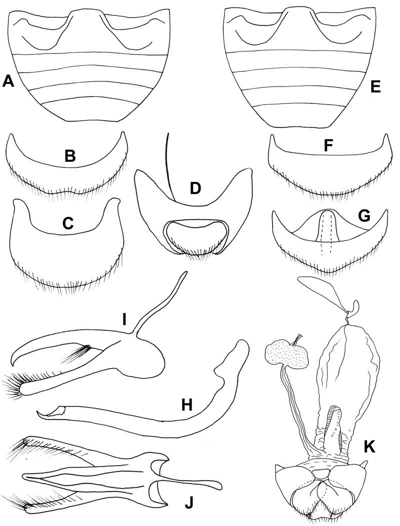 Fig. 72.