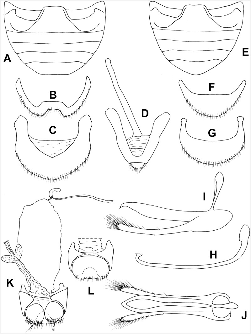 Fig. 39.