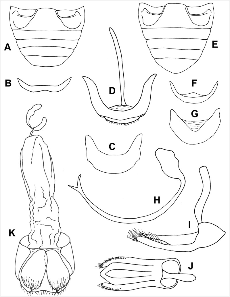 Fig. 60.