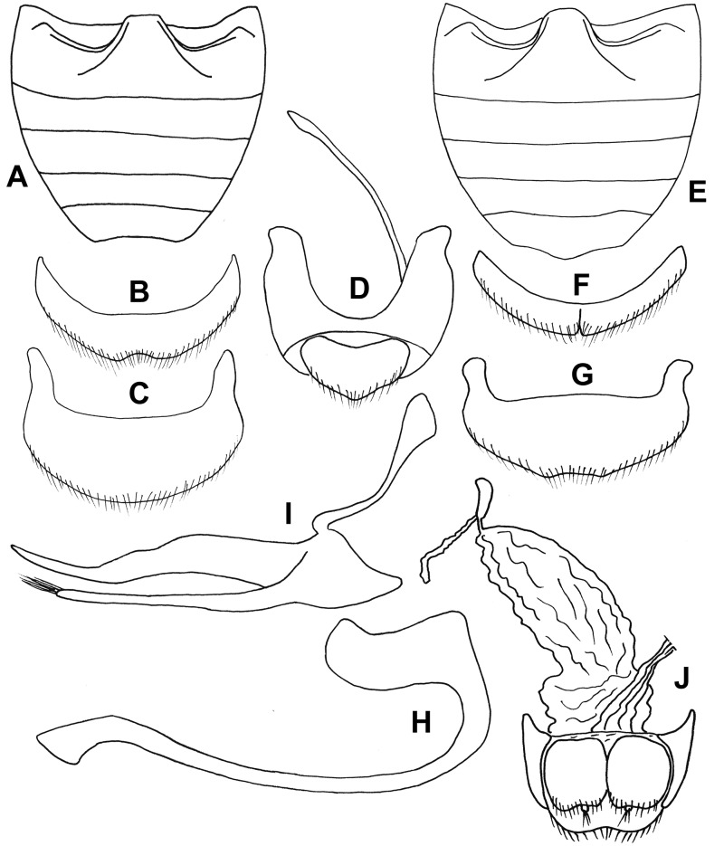 Fig. 78.