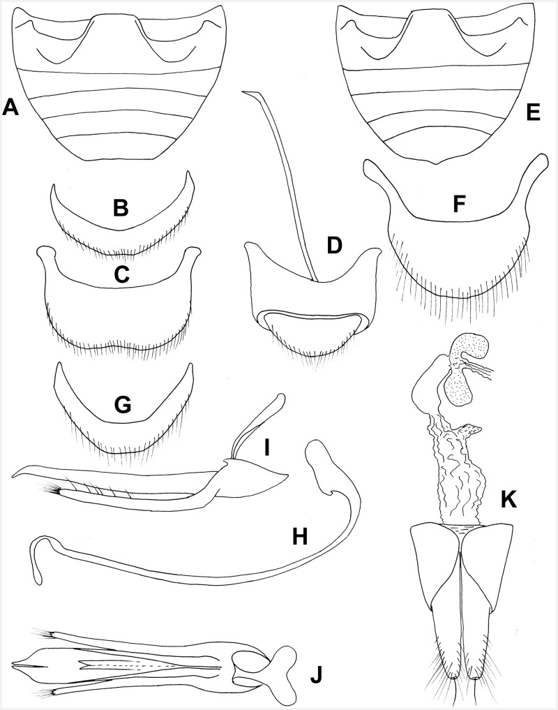 Fig. 48.