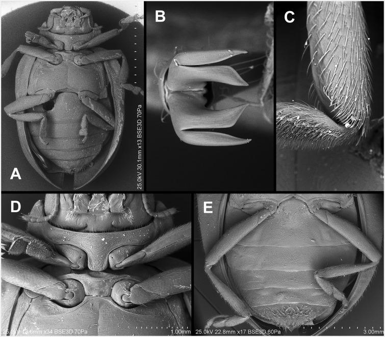 Fig. 26.