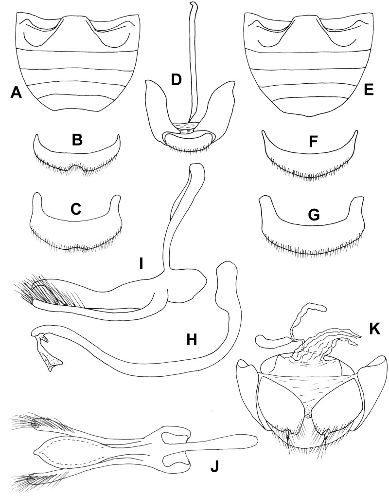 Fig. 42.