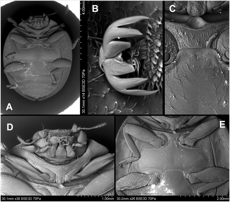 Fig. 53.