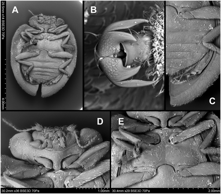 Fig. 44.