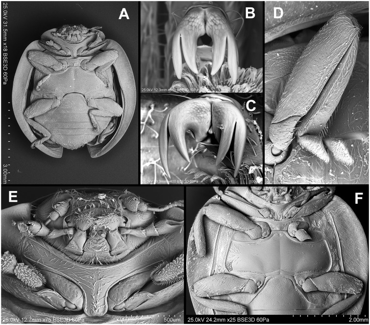 Fig. 71.