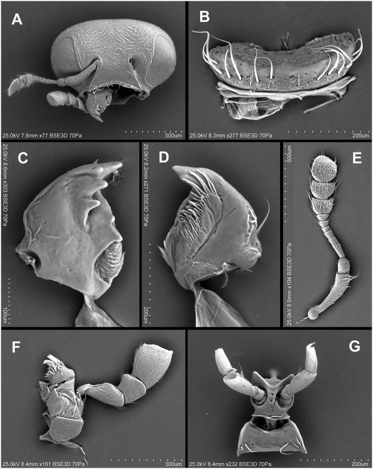 Fig. 28.