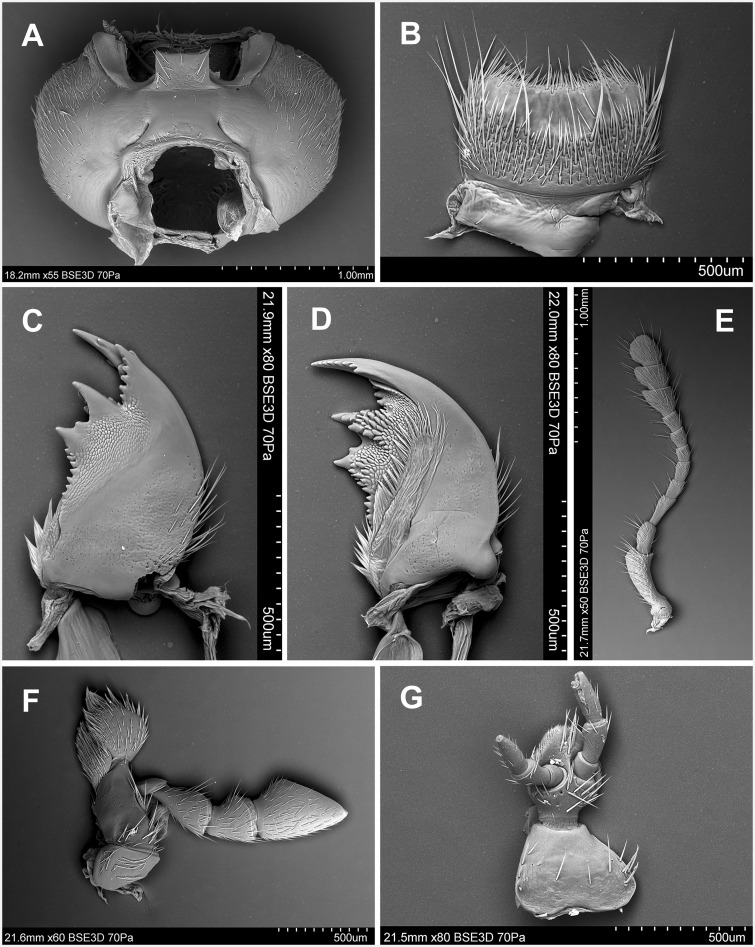 Fig. 22.