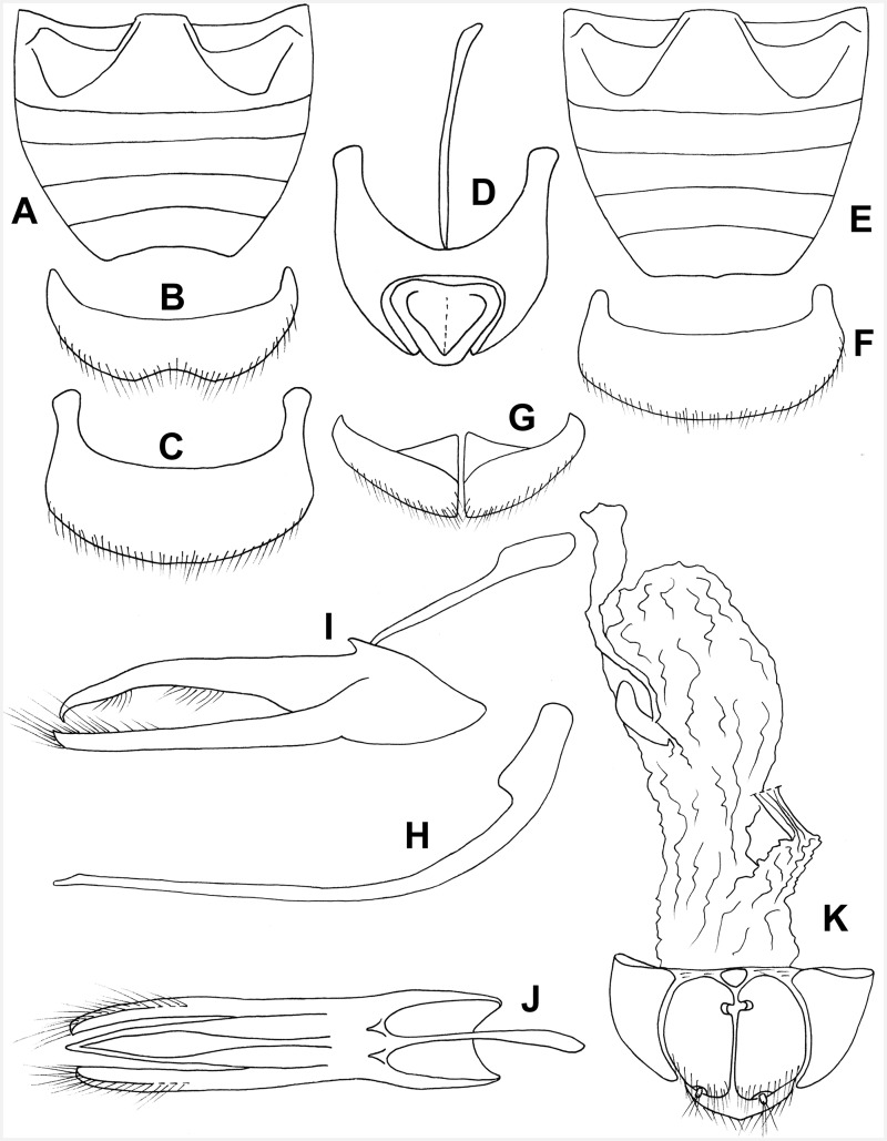 Fig. 51.