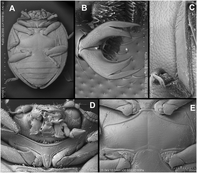 Fig. 23.