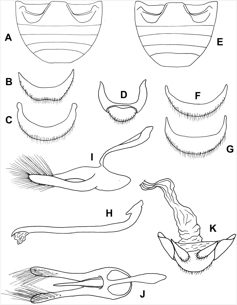 Fig. 30.