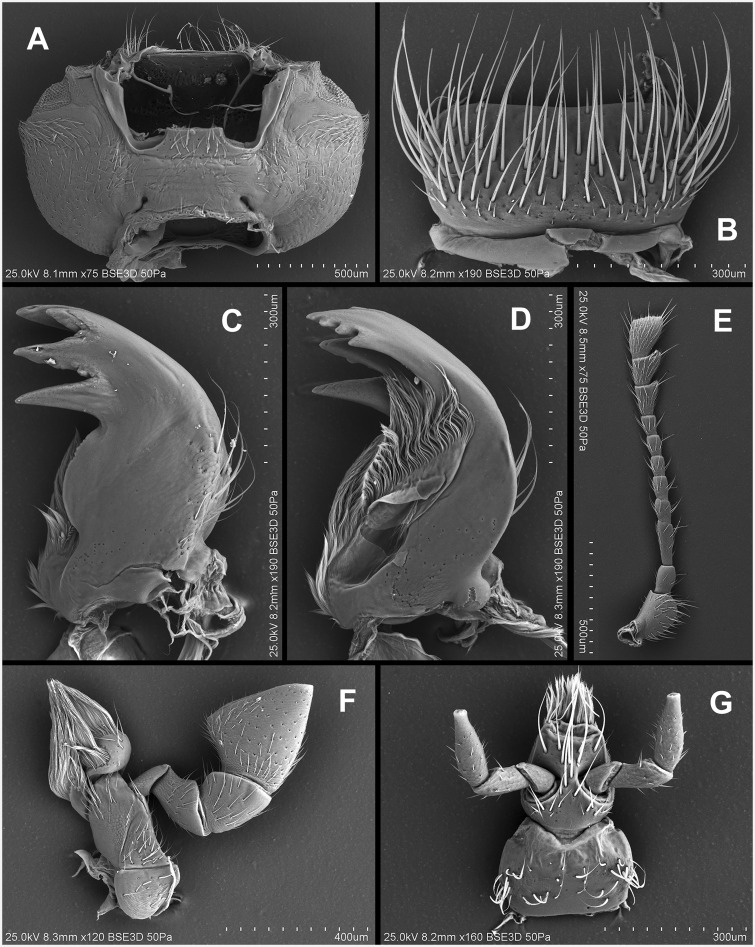 Fig. 46.