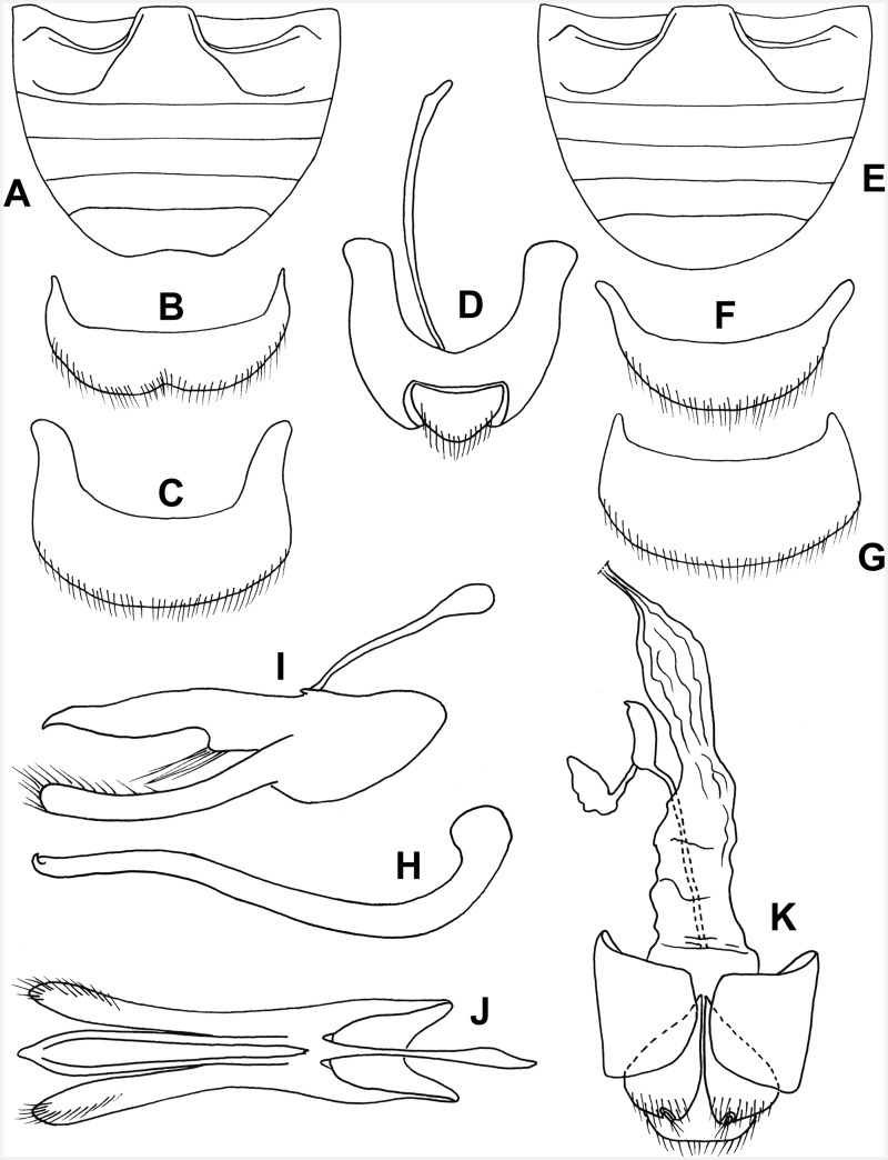 Fig. 57.