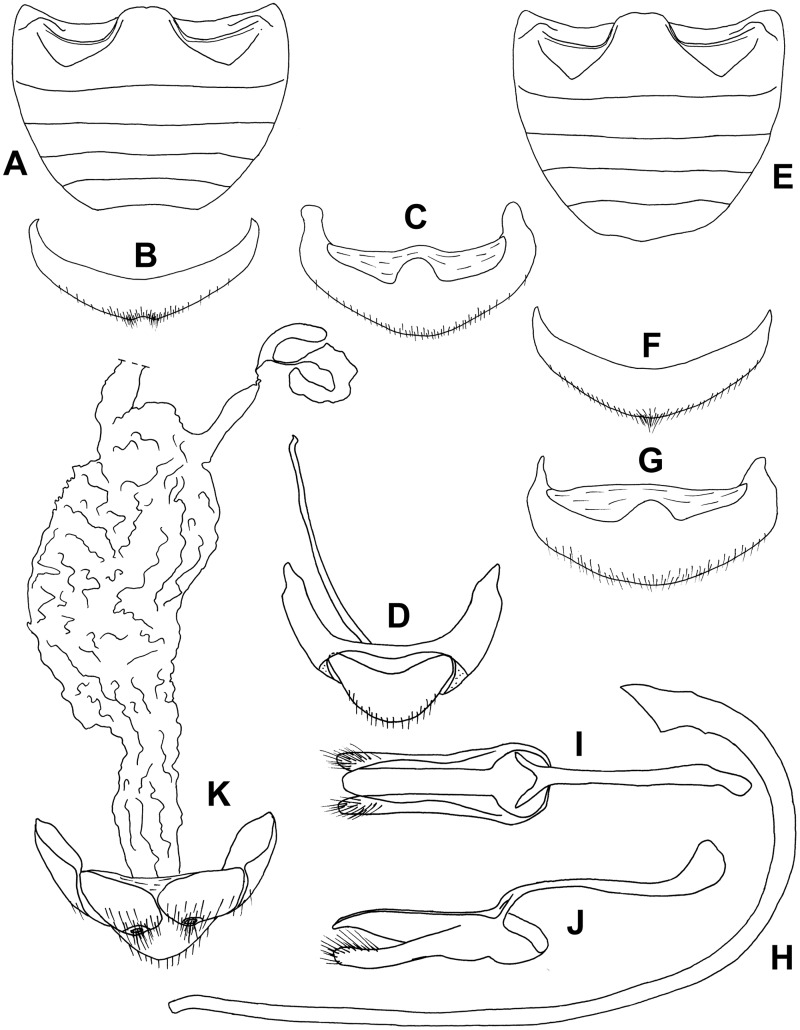 Fig. 81.