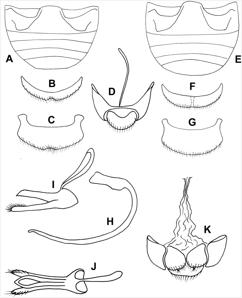 Fig. 12.