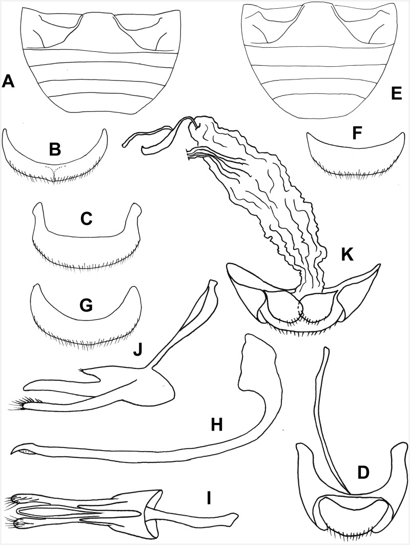 Fig. 9.