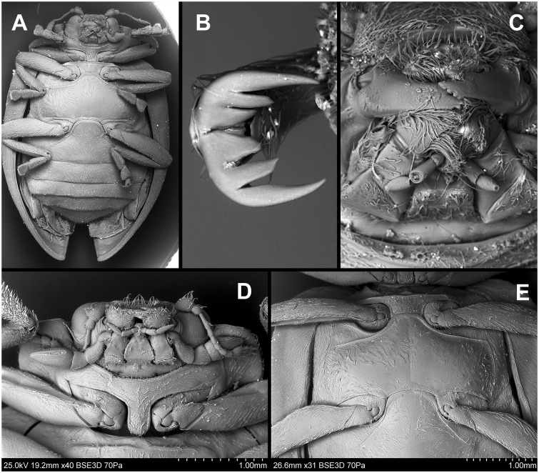 Fig. 77.