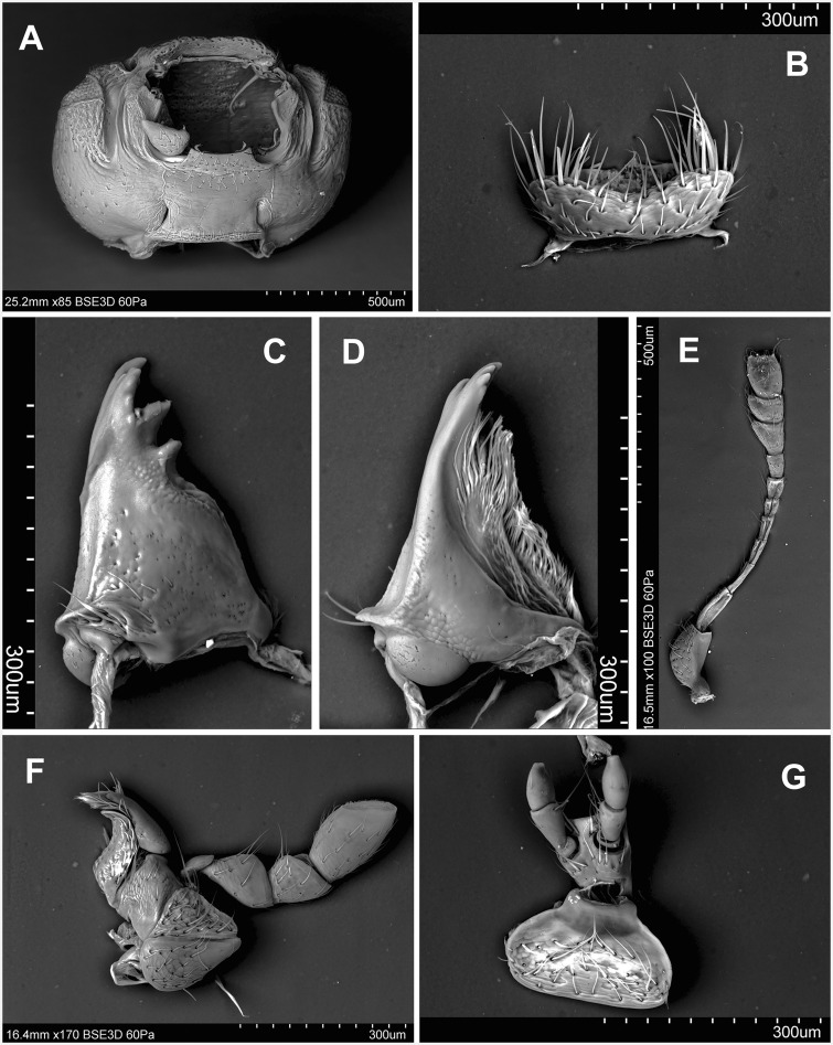 Fig. 58.