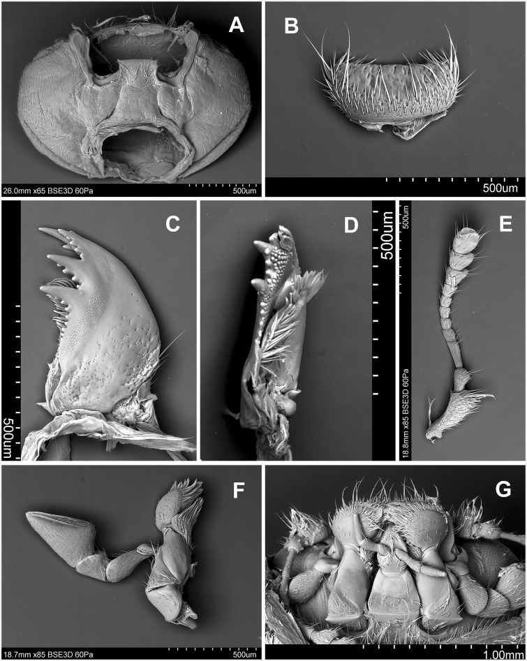 Fig. 49.