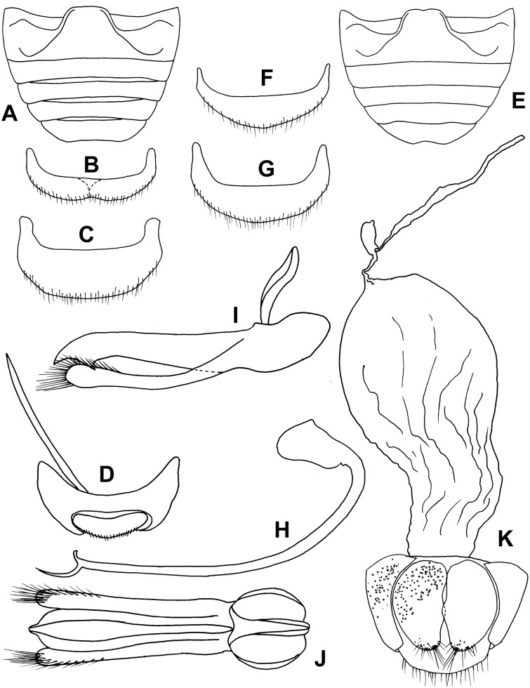 Fig. 63.