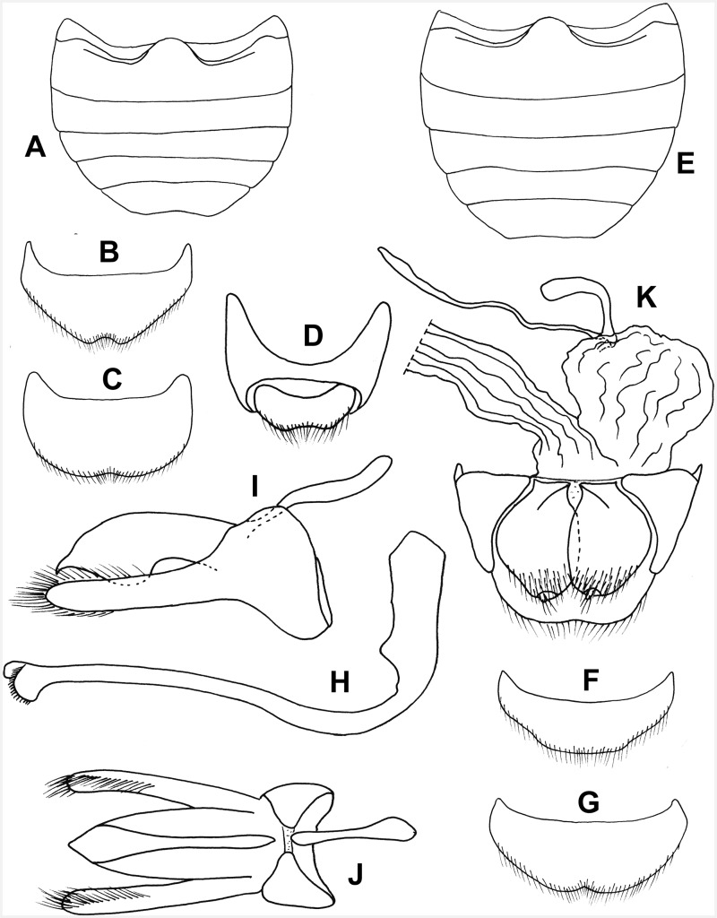 Fig. 45.