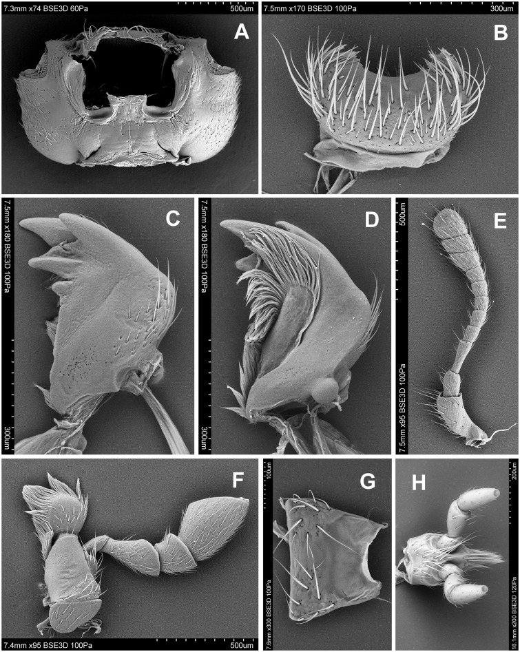 Fig. 79.