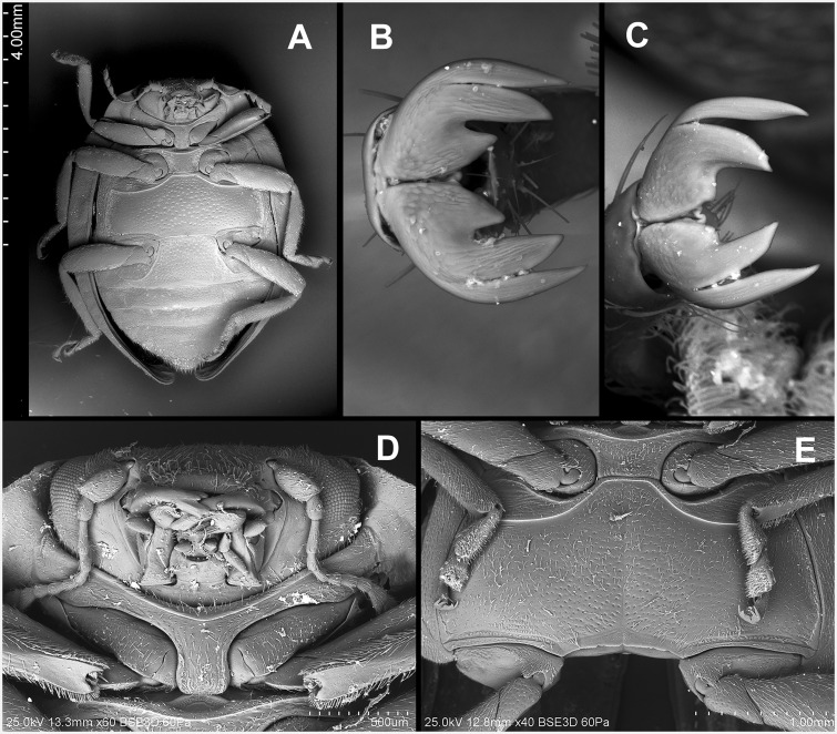 Fig. 47.