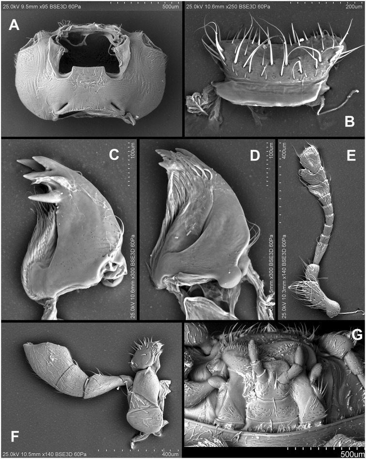 Fig. 70.