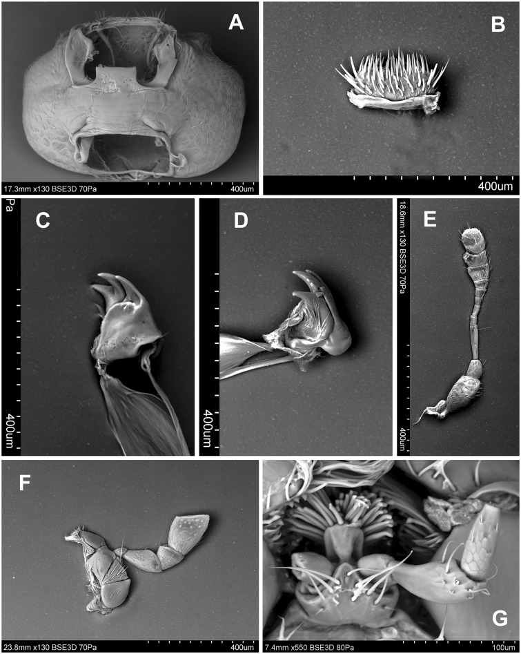 Fig. 73.