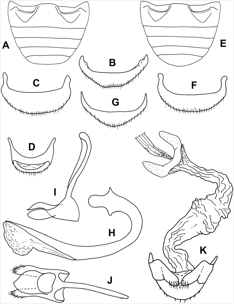 Fig. 33.