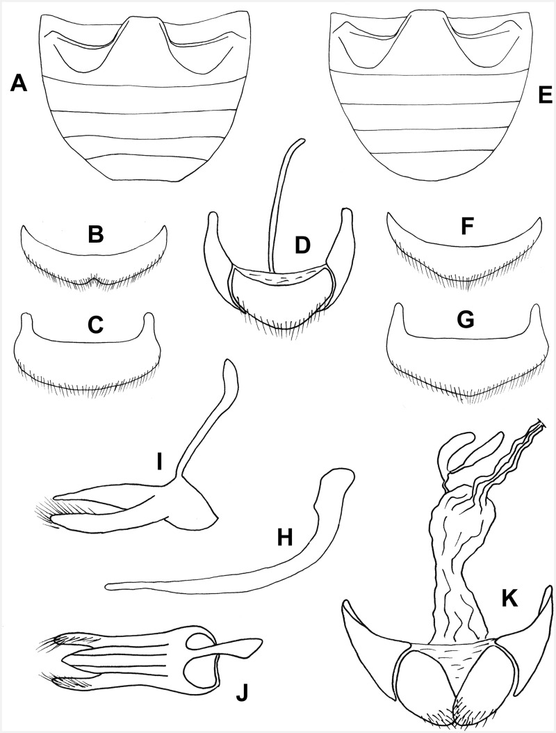 Fig. 54.