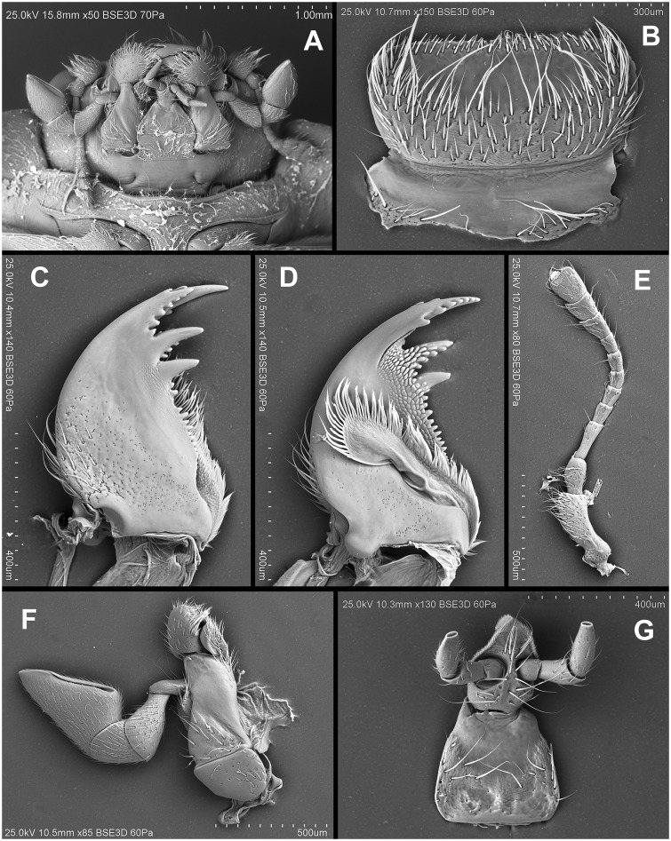 Fig. 76.