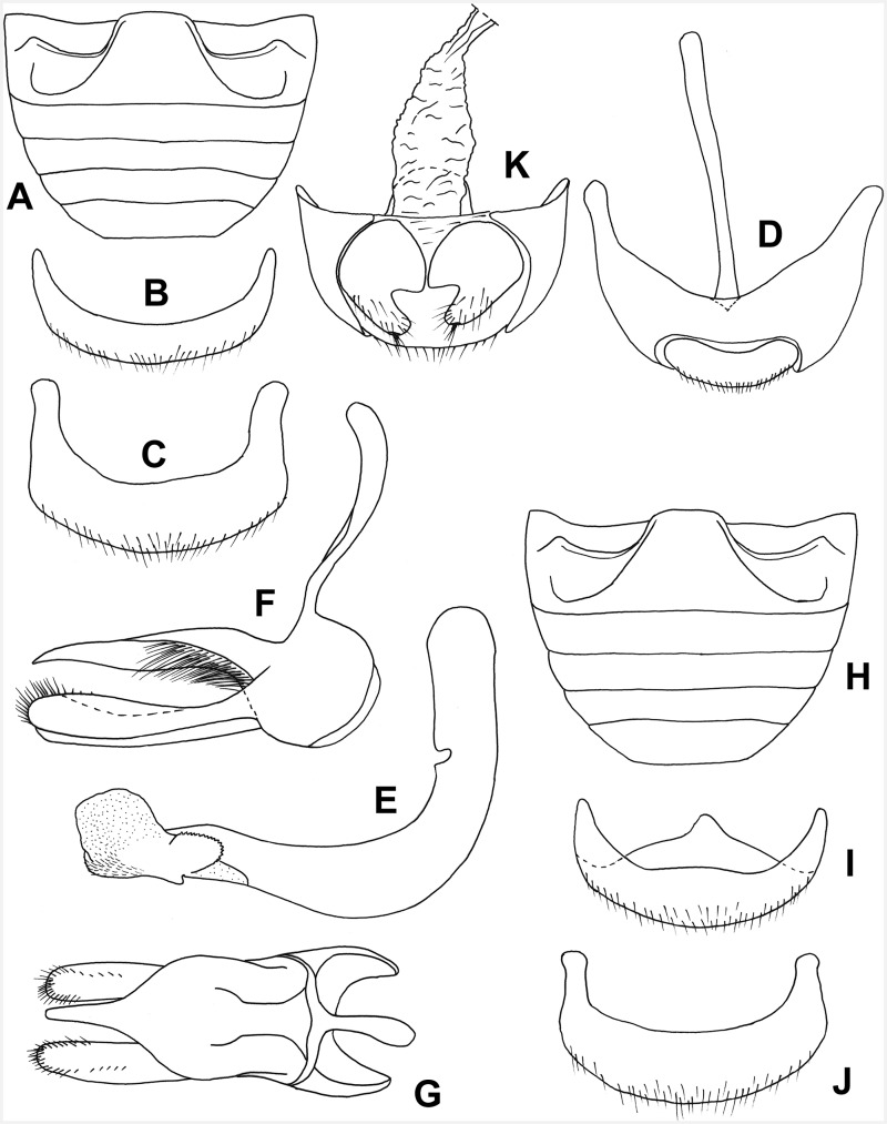 Fig. 36.