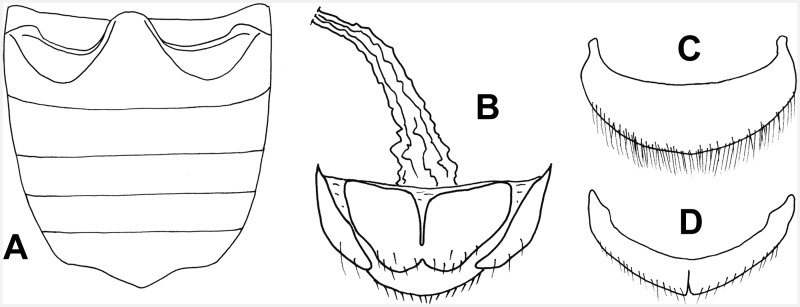 Fig 3.