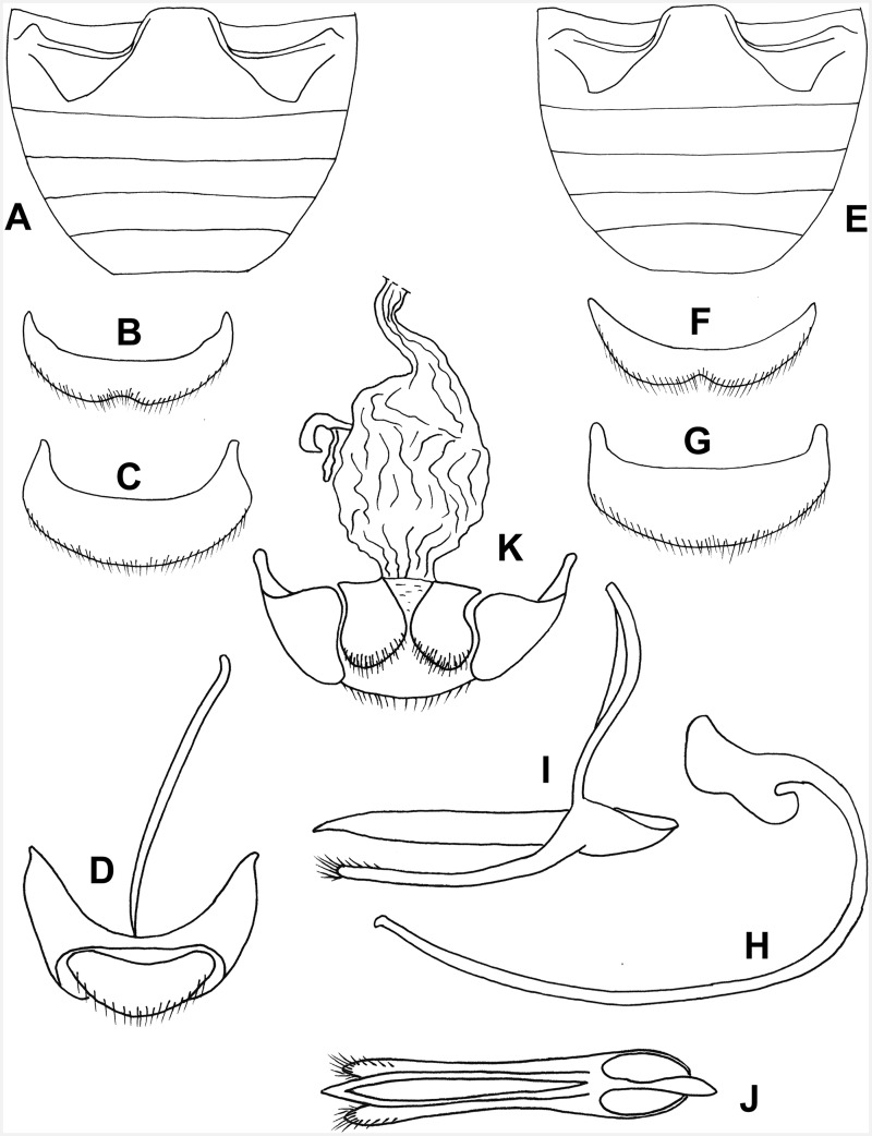 Fig. 21.