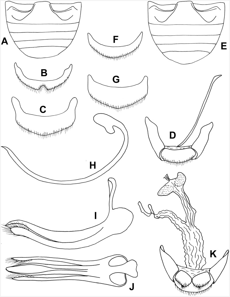 Fig. 15.