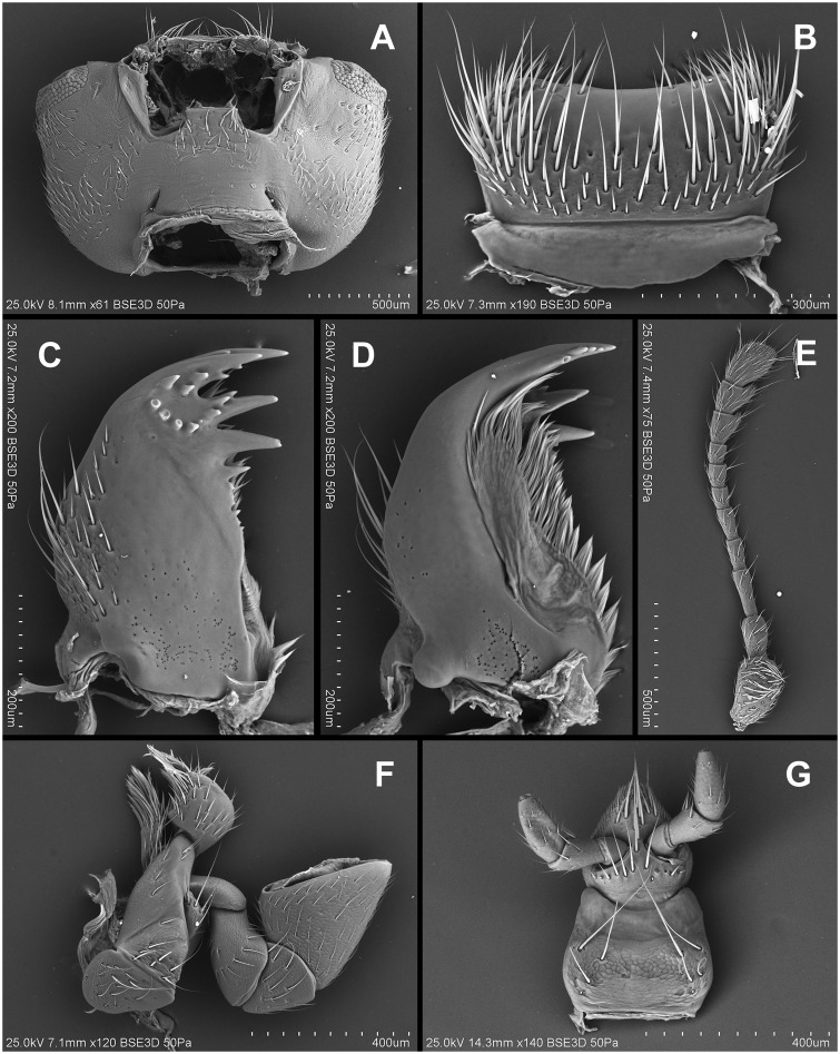 Fig. 67.